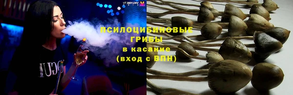 СК Ладушкин