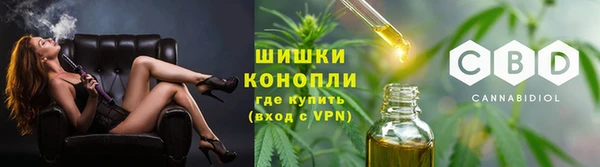 СК Ладушкин