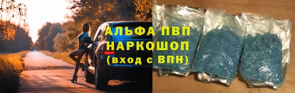 СК Ладушкин