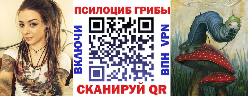 цена   Малгобек  Галлюциногенные грибы Psilocybine cubensis 
